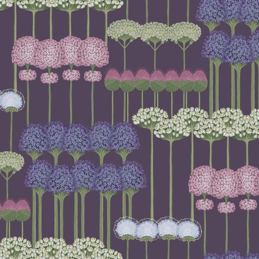 Allium 115 - 12036