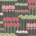 Allium 115 - 12037