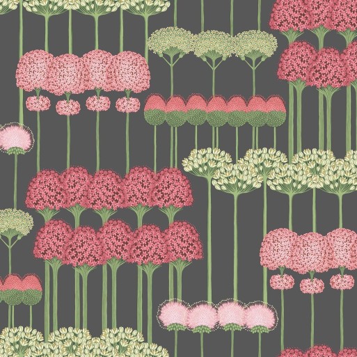 Allium 115 - 12037