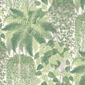 Fern 115-7021