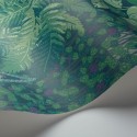 Fern