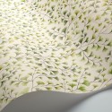 Maidenhair