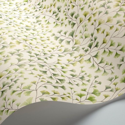 Maidenhair