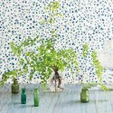 Maidenhair