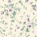 Sweet Pea 100-6030