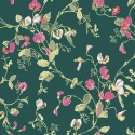 Sweet Pea 115-11033