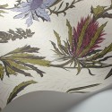 Thistle