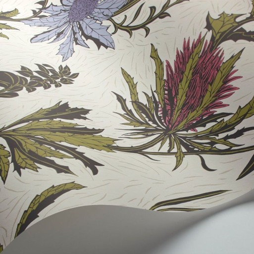 Thistle