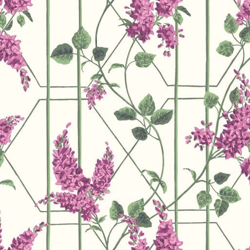 Wisteria 115-5013