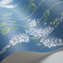 Wisteria
