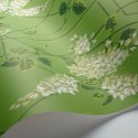 Wisteria