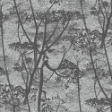 Cow Parsley 112-8026