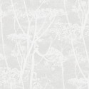 Cow Parsley 112-8027