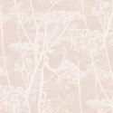 Cow Parsley 112-8028