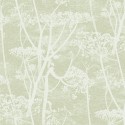 Cow Parsley 112-8029