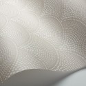 Feather Fan