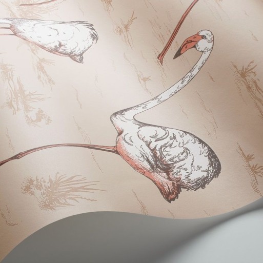 Flamingos