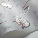 Flamingos