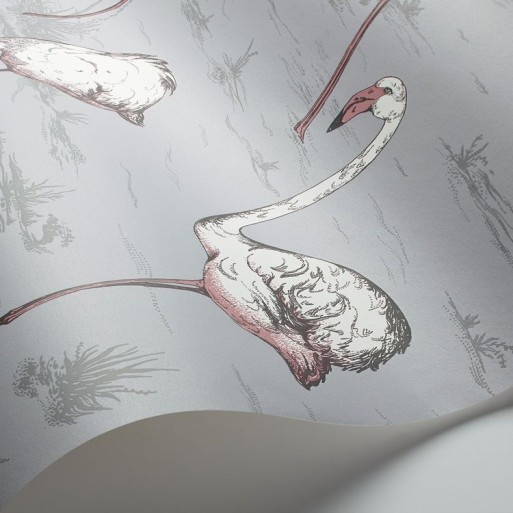Flamingos