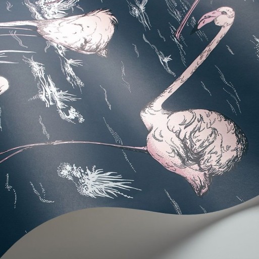 Flamingos