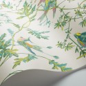 Hummingbirds