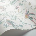 Hummingbirds