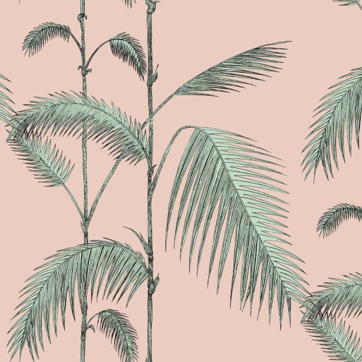 Palm Leaves