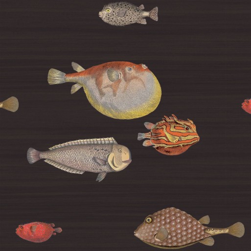 Acquario 97/10048