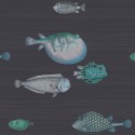 Acquario 114/16032