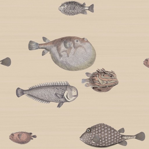 Acquario 114/16033
