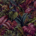 Anori multicolore