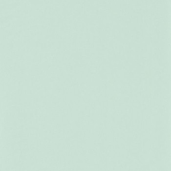 Smile uni vert mint