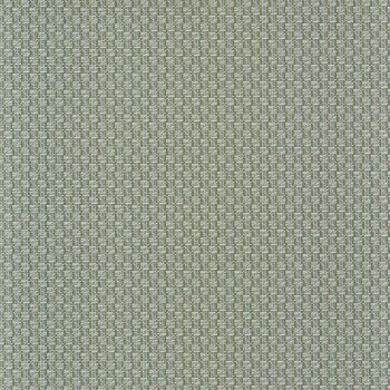 Trenza vert de gris