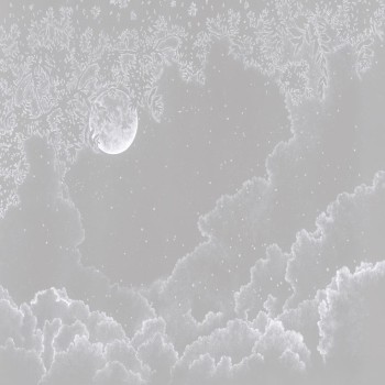 Moonlight Grey