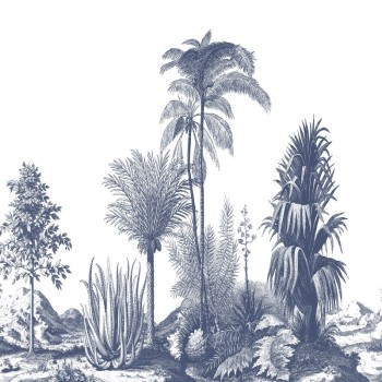 Aloes