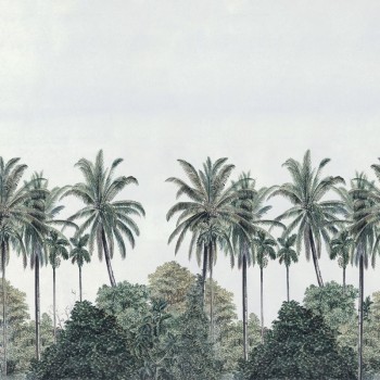 Palm Grove