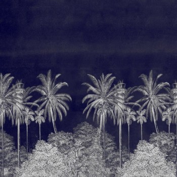 Palm Grove Midnight