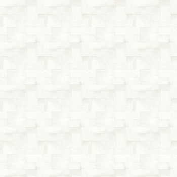 Appaloosa l'ours blanc