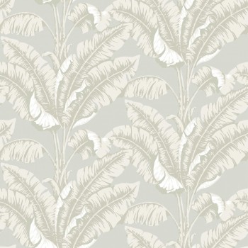 La havane beige
