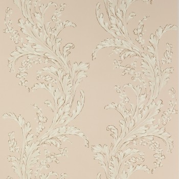 Volanges rose ancien