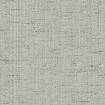 Raya gris pierre