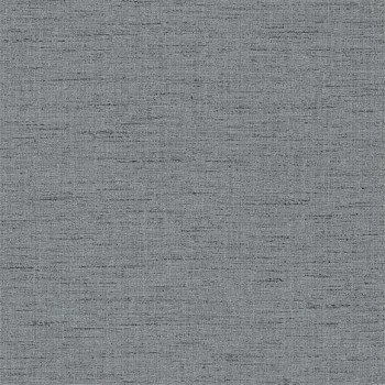 Raya gris charbon