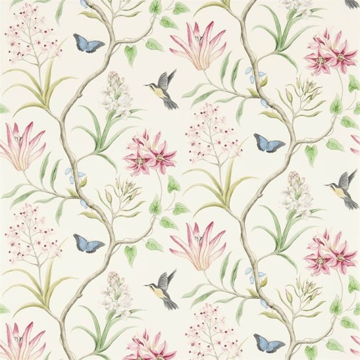 Clementine Chintz