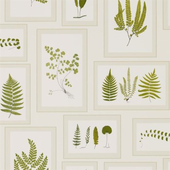 Fern gallery ivory/green