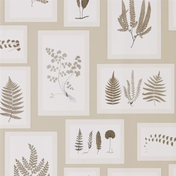 Fern gallery linen