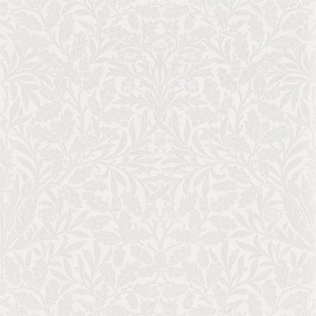 Pure acorn craie/argent