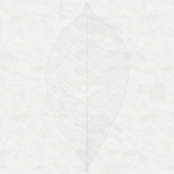 Decent leaf