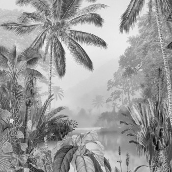 Lac tropical black & white