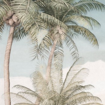 Palm oasis