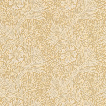 Marigold cowslip